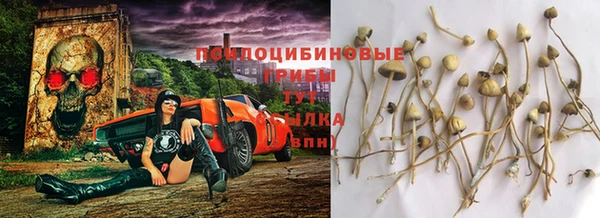 mix Дмитровск